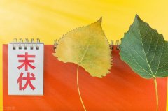 【末伏養(yǎng)生】潤肺養(yǎng)顏，止咳清肺